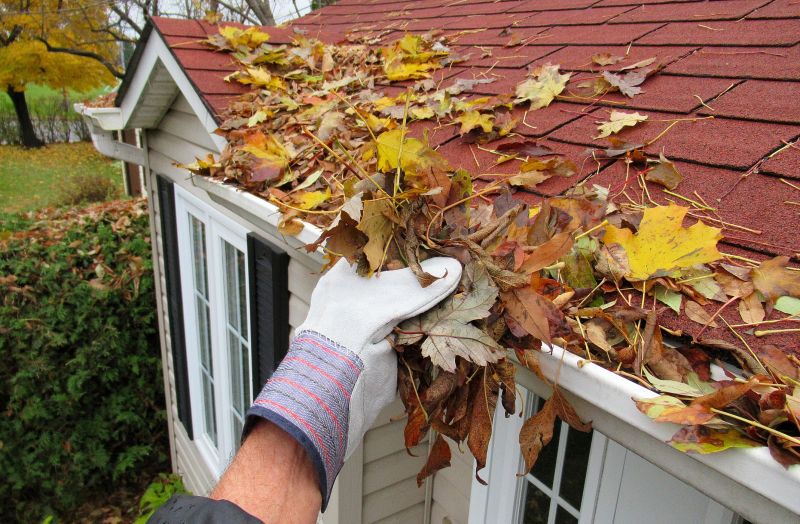 Timing for Gutter Cover Services
